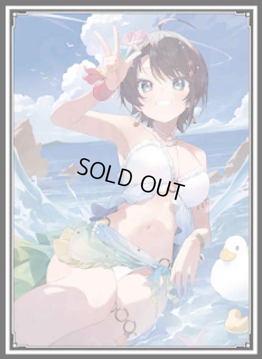 画像1: 水着すばる　スリーブ (1)